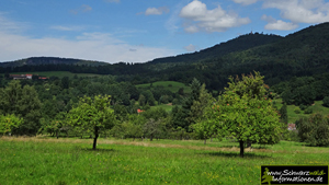 Obstbaumwiesen