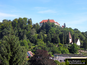 Blick auf Schloss Neuenbürg