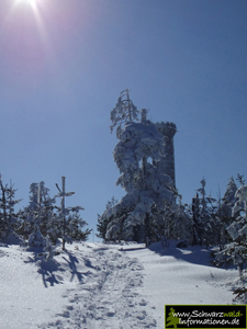 Badener Höhe Turm Winter
