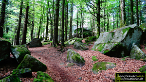 Naturschutzgebiet Günterfelsen