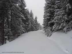 http://www.schwarzwald-informationen.de/bilder/wintersport/ruhestein-winter-k.jpg