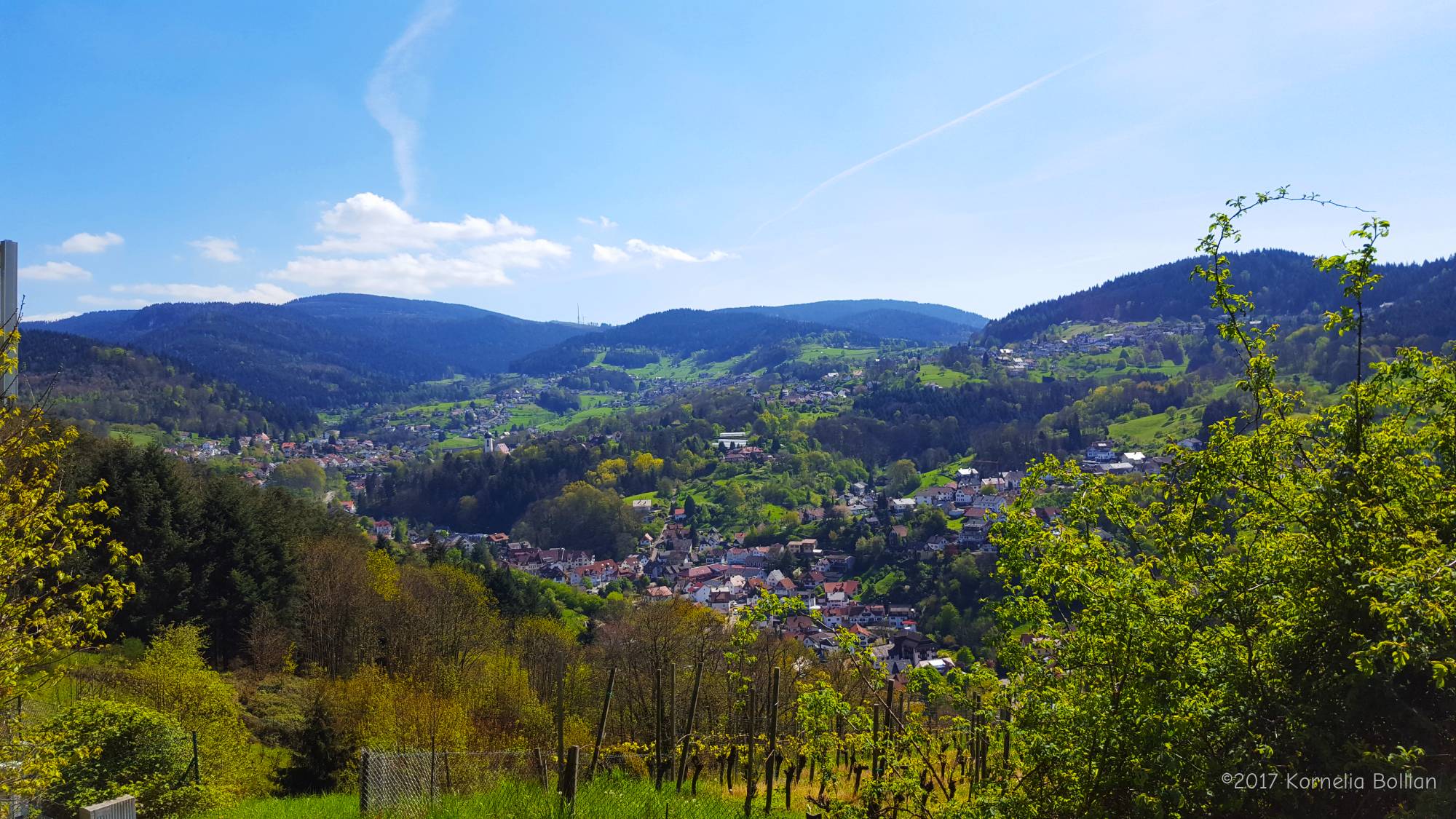 Buhlertal img1492953363300