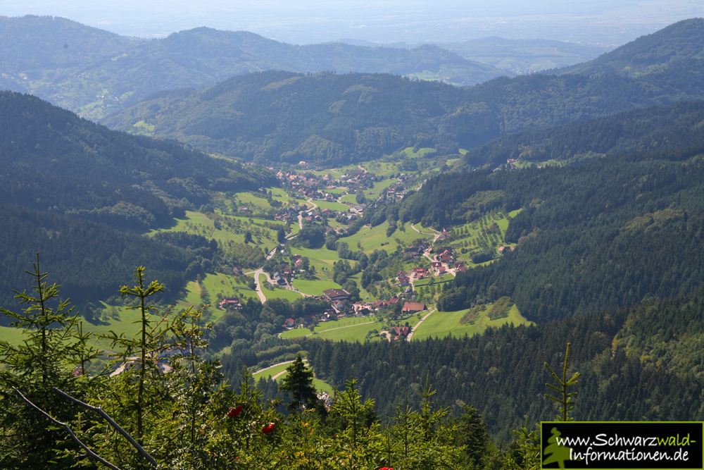 Schwarzwaldberge IMG 2362