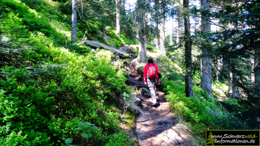 Wandern DSC05040